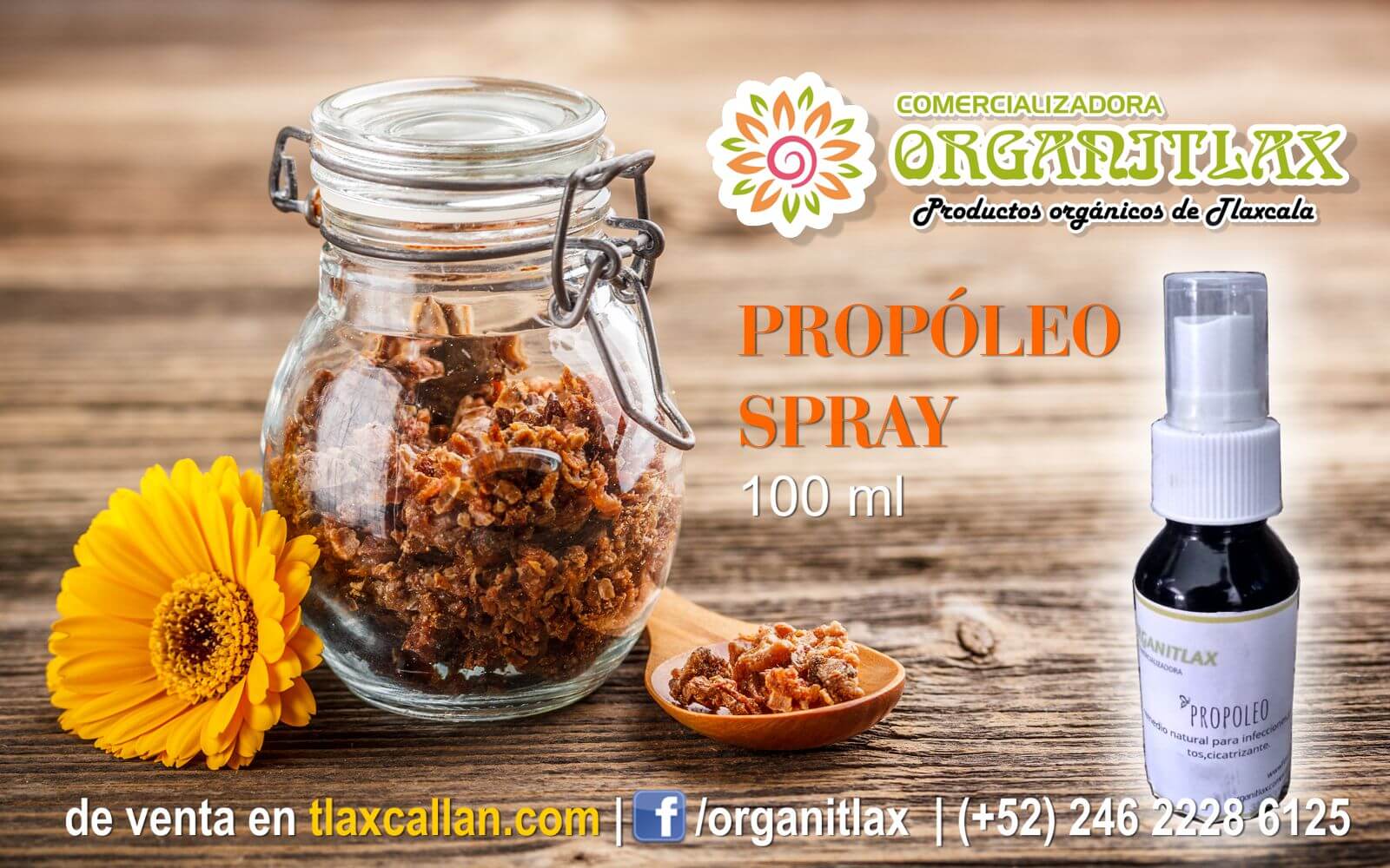 Propóleo Spray 100 ml Comercializadora Organitlax